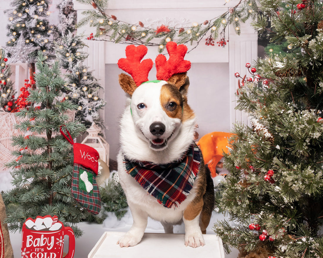 Happy Holidays Plaid Flannel Frayed Dog Bandana