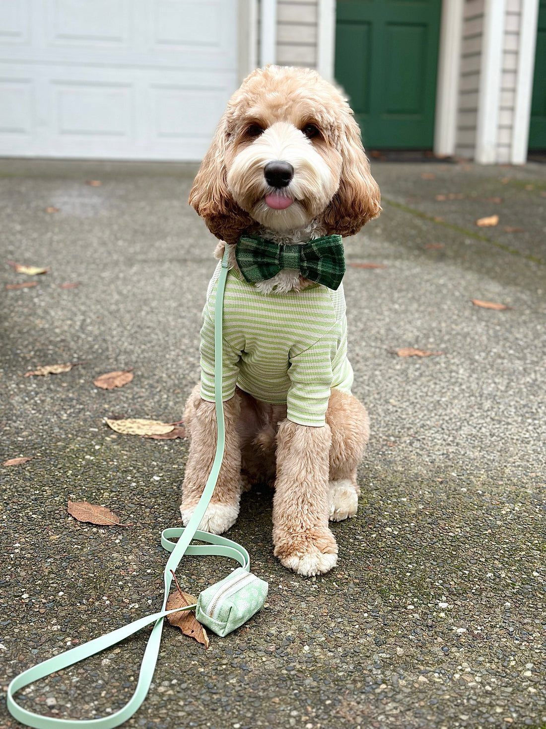 Pistachio Sage Green Waterproof Cloud Dog Leash | Lightweight PVC Leash | Odor Proof, Stink Proof, and Durable | Available in 3 Lengths
