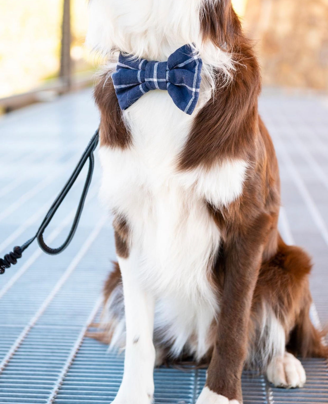 Navy Blue Windowpane Linen Dog Bow Tie