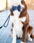 Navy Blue Windowpane Linen Dog Bow Tie