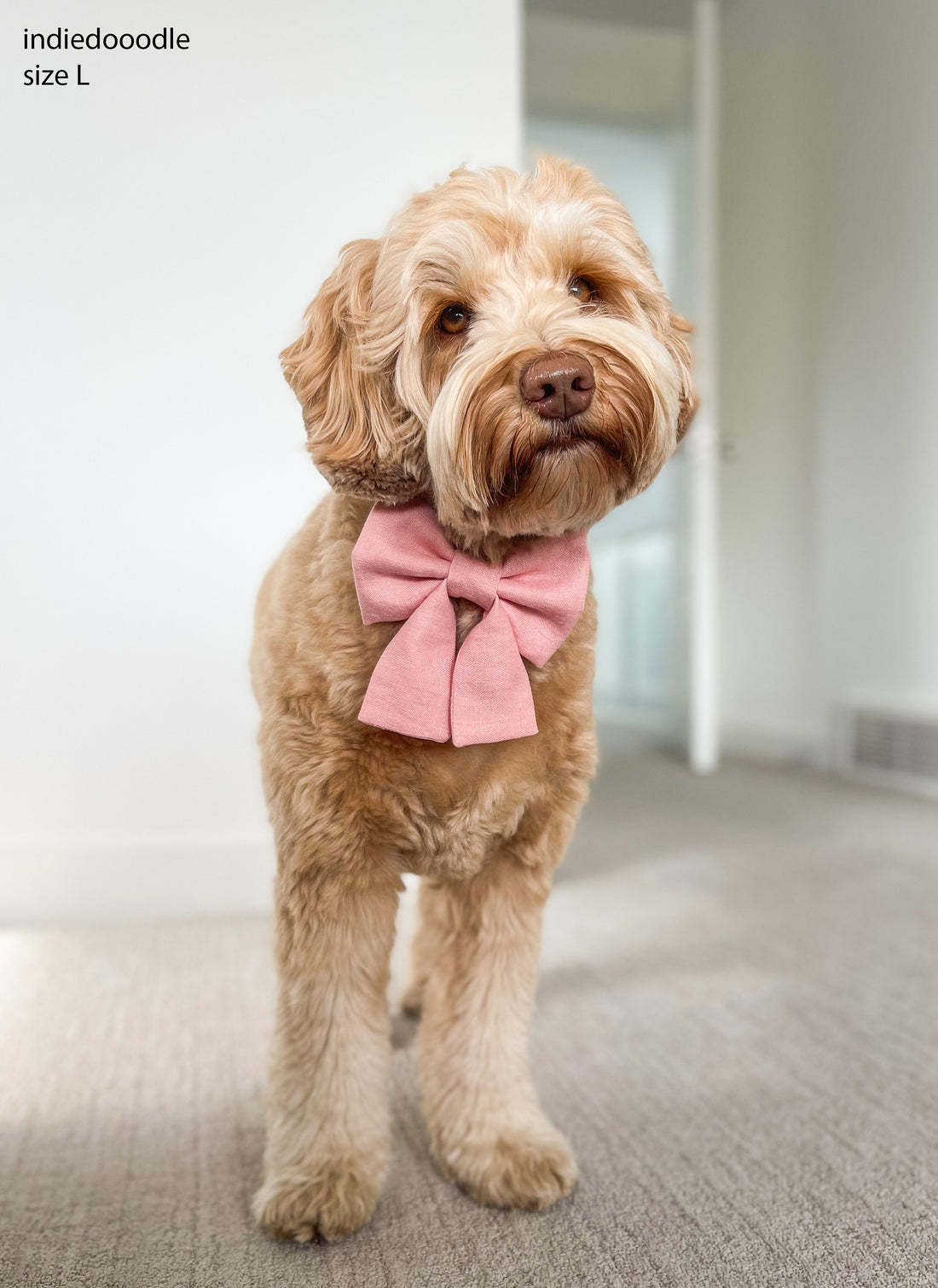 Peach Pink Linen Dog Sailor Bow