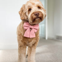 Peach Pink Linen Dog Sailor Bow