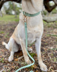 Pistachio Green Waterproof Cloud Dog Leash