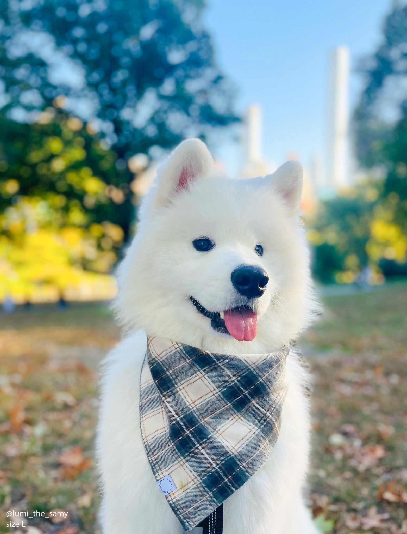 Woodland Plaid Flannel Dog Bandana - SUNNY TAILS