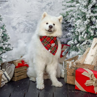 Christmas Flannel Teddy Bear Dog Bandana