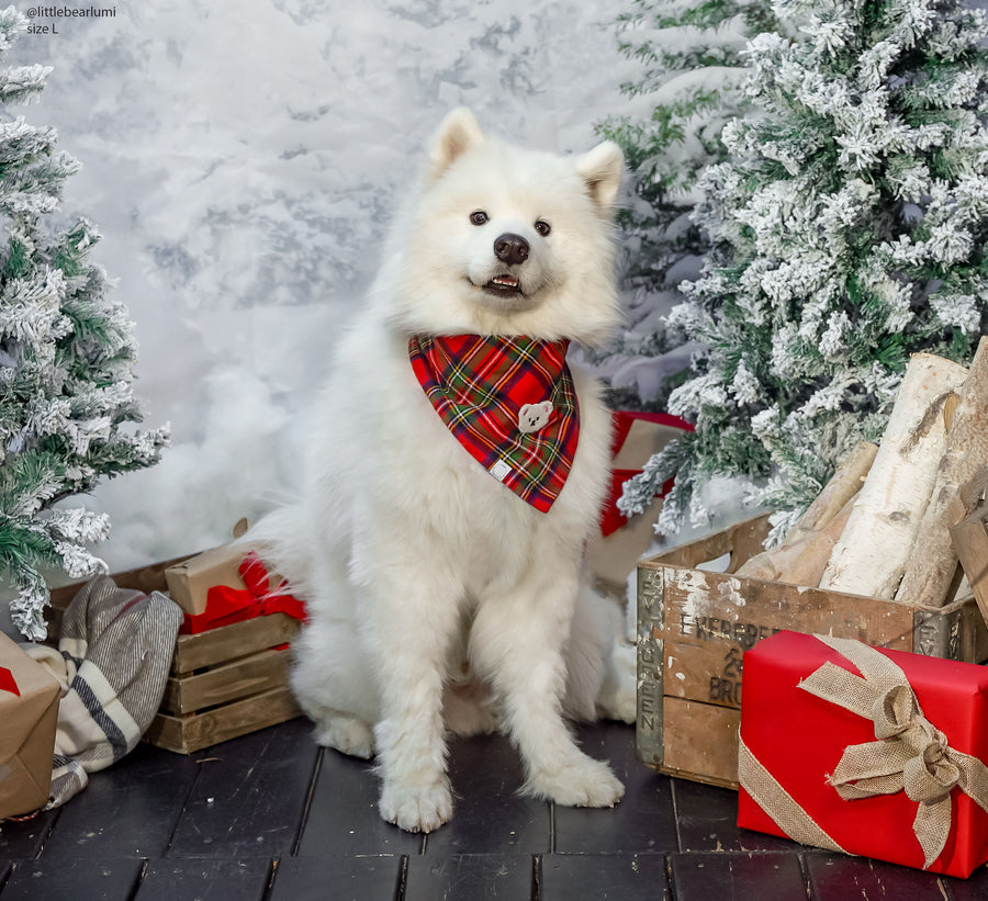 Christmas Flannel Teddy Bear Dog Bandana
