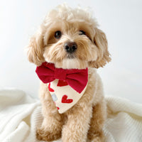 Valentine Red Corduroy Dog Bow Tie  | Snap Over Collar Bow Tie | Shop Sunny Tails