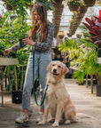 Mulberry Burgundy Convertible Hands Free Cloud Dog Leash | Multifunctional, Waterproof, and Lightweight Dog Leash | Shop Sunny Tails