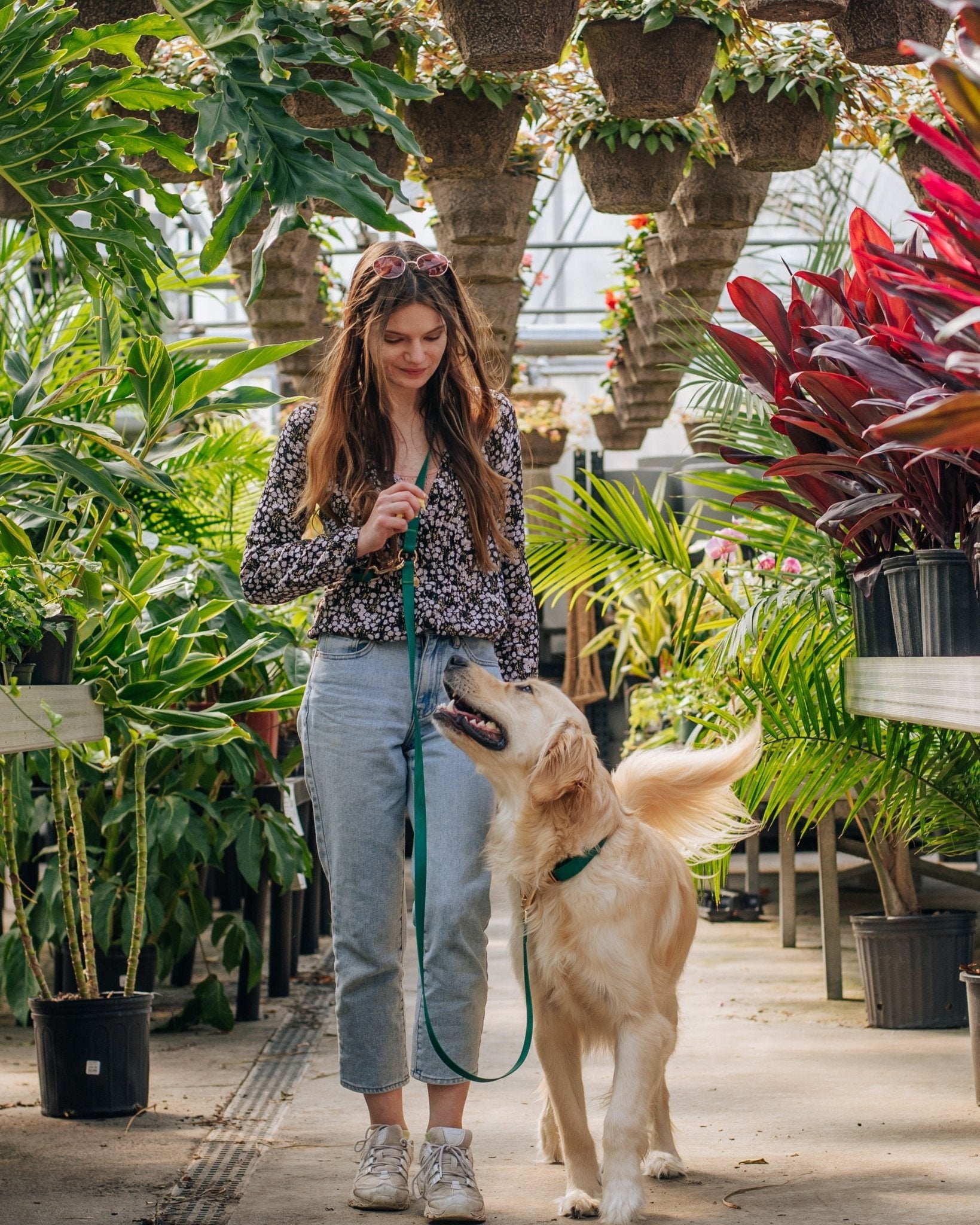 5 - Piece Hands Free Set – Leash, Harness, Collar, Treat Pouch &amp; Waste Bag Holder - SUNNY TAILS