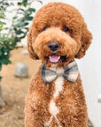 Woodland Plaid Flannel Dog Bow Tie | Snap Over Collar Bow Tie | Shop Sunny Tails
