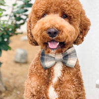 Woodland Plaid Flannel Dog Bow Tie | Snap Over Collar Bow Tie | Shop Sunny Tails