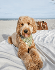 Embroidered Greenhouse Green Dog Bandana - SUNNY TAILS