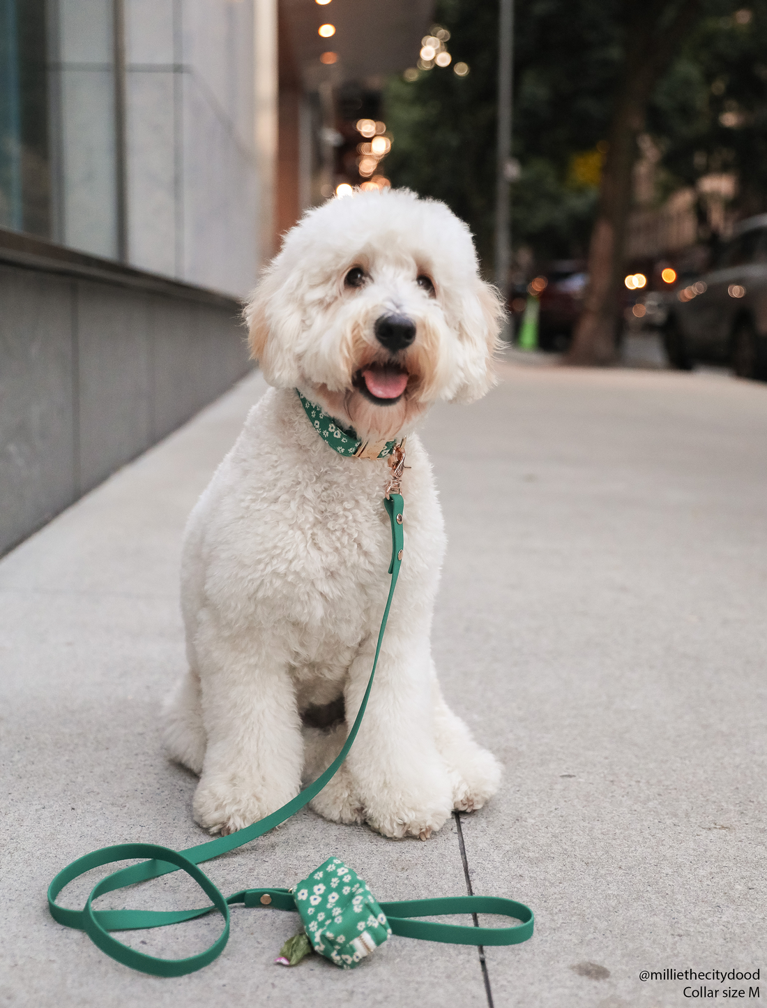 Meadow Green Waterproof Cloud Dog Leash | Lightweight PVC Leash | Odor Proof, Stink Proof, and Durable Dog Lead | Available in 3 Lengths 