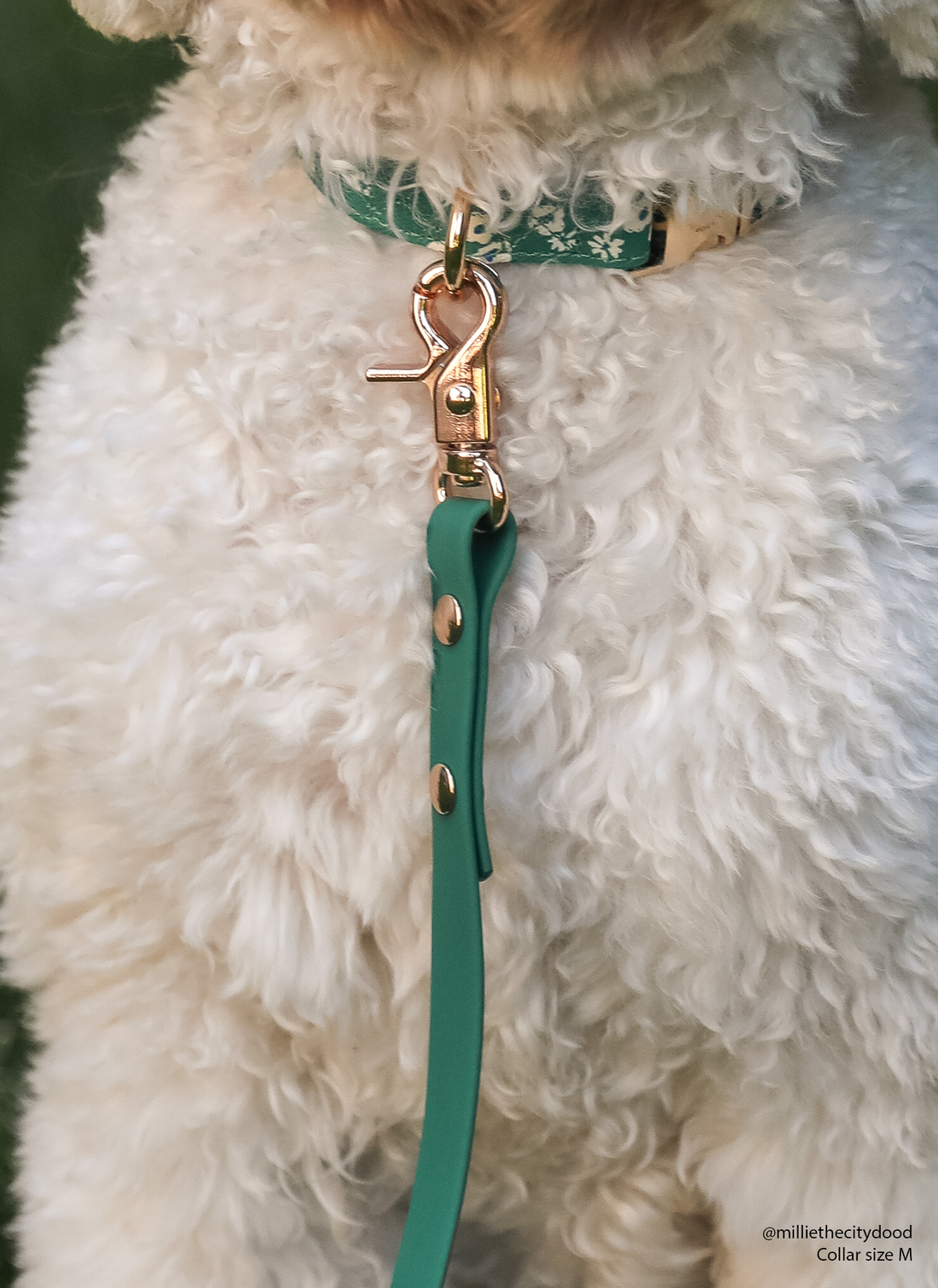 Meadow Green Waterproof Cloud Dog Leash | Lightweight PVC Leash | Odor Proof, Stink Proof, and Durable Dog Lead | Available in 3 Lengths 