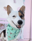 Jurassic Bark Dog Bandana - SUNNY TAILS