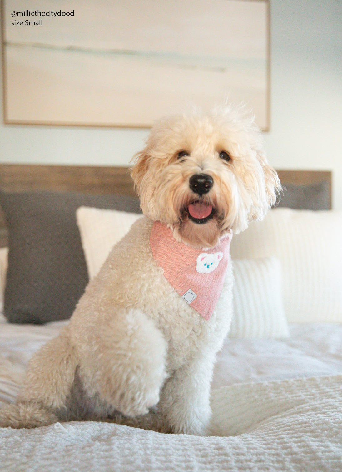 Pink Herringbone Flannel Teddy Bandana - SUNNY TAILS