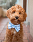 Periwinkle Blue Gingham Dog Bow Tie | Spring Snap Over Collar Bow Tie | Shop Sunny Tails