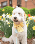 Mother's Day Bundle Bright & Floral - SUNNY TAILS