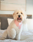 Pink Herringbone Flannel Teddy Bandana - SUNNY TAILS