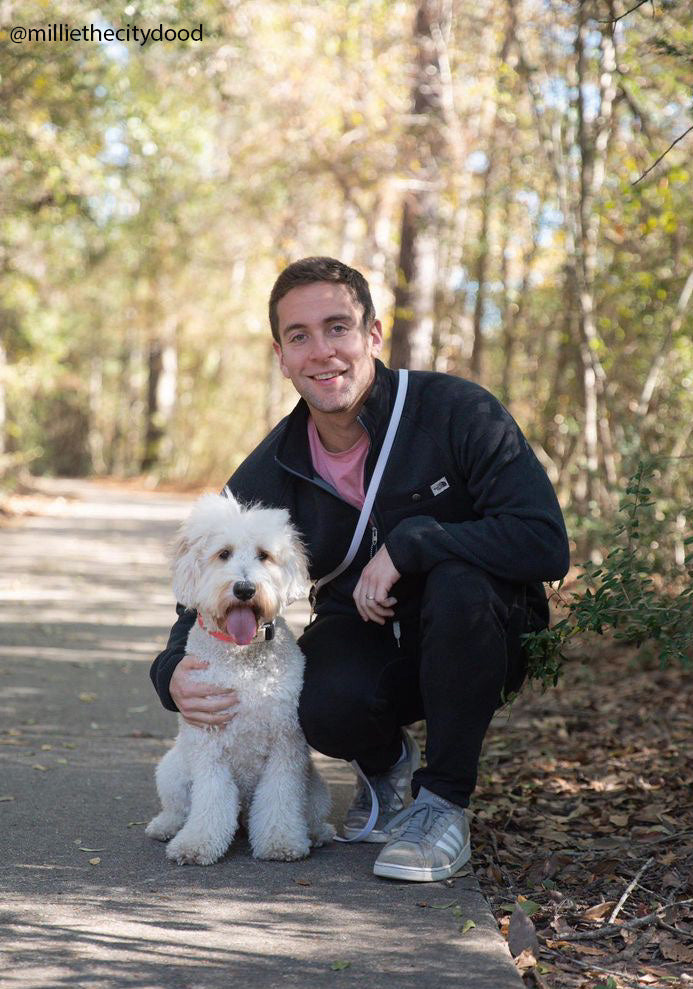 Lavender Haze Lilac Convertible Hands Free Cloud Dog Leash | Multifunctional, Waterproof, and Lightweight Dog Leash | Shop Sunny Tails