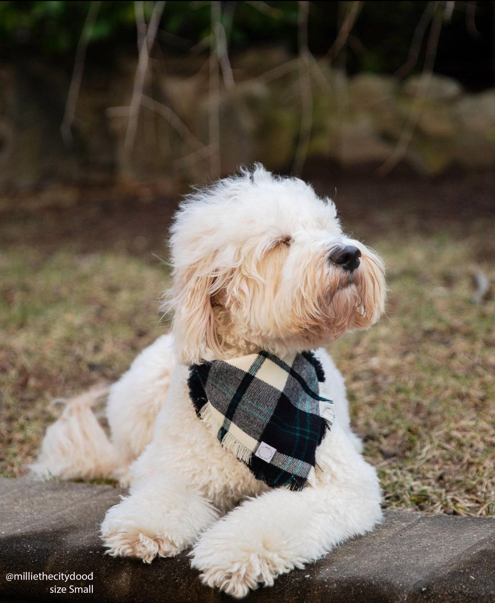 Black and White Flannel Frayed Dog Bandana - SUNNY TAILS