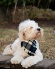 Black and White Flannel Frayed Dog Bandana - SUNNY TAILS