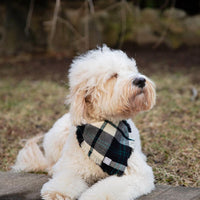 Black and White Flannel Frayed Dog Bandana