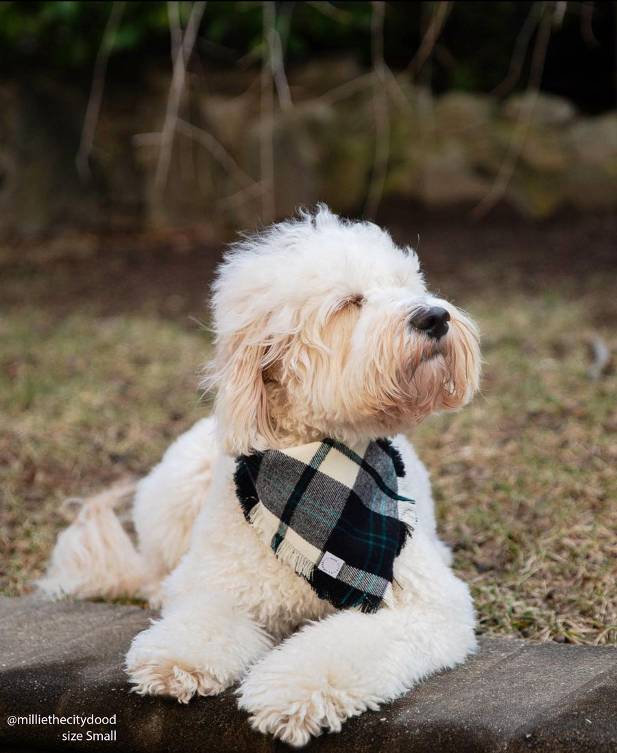 Black and White Flannel Frayed Dog Bandana