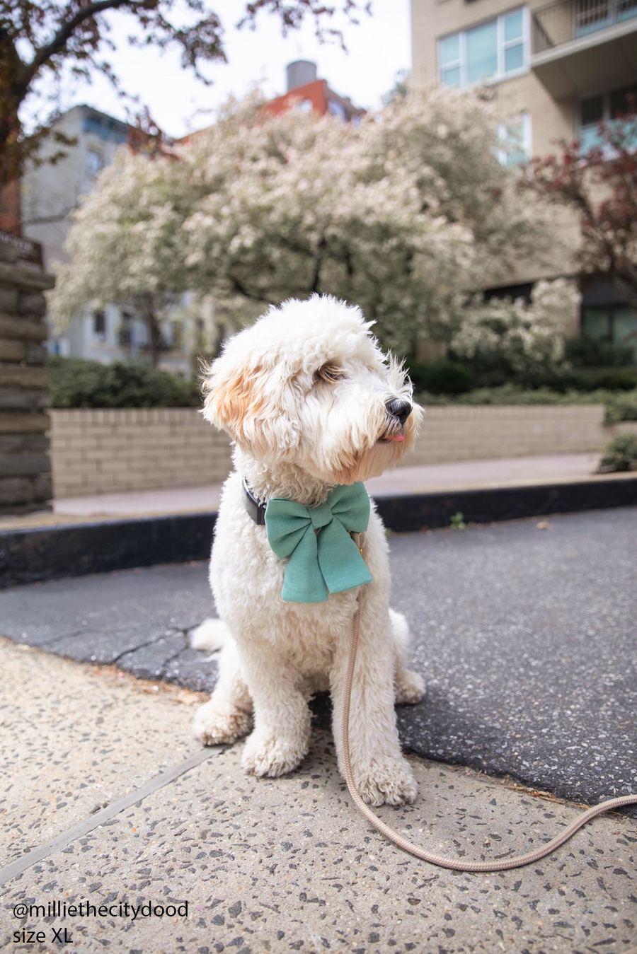 Sage Green Linen Matcha Dog Sailor Bow | Snap Over Collar Dog Bow | Shop Sunny Tails
