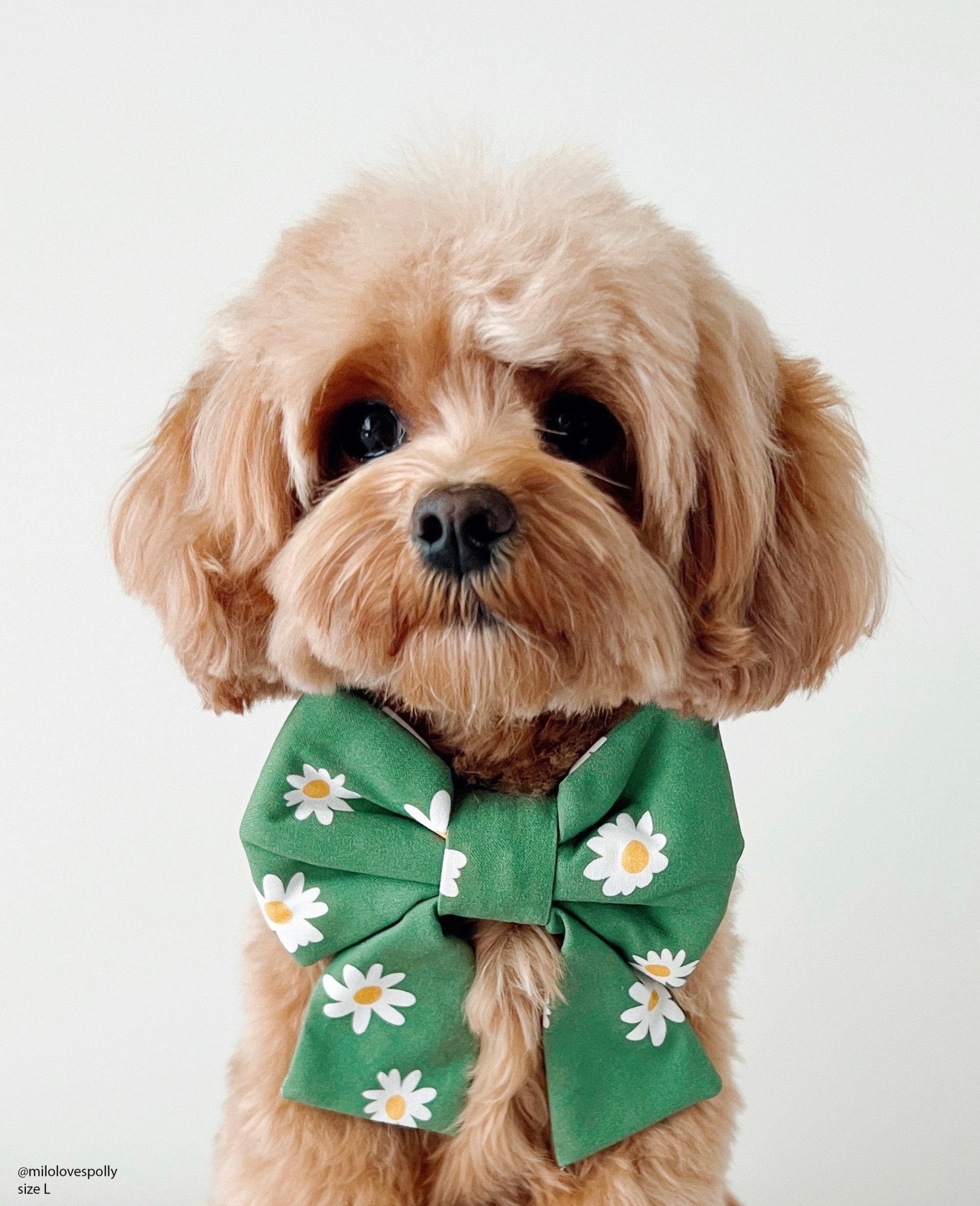 Blooming Daisies Green Dog Sailor Bow - SUNNY TAILS
