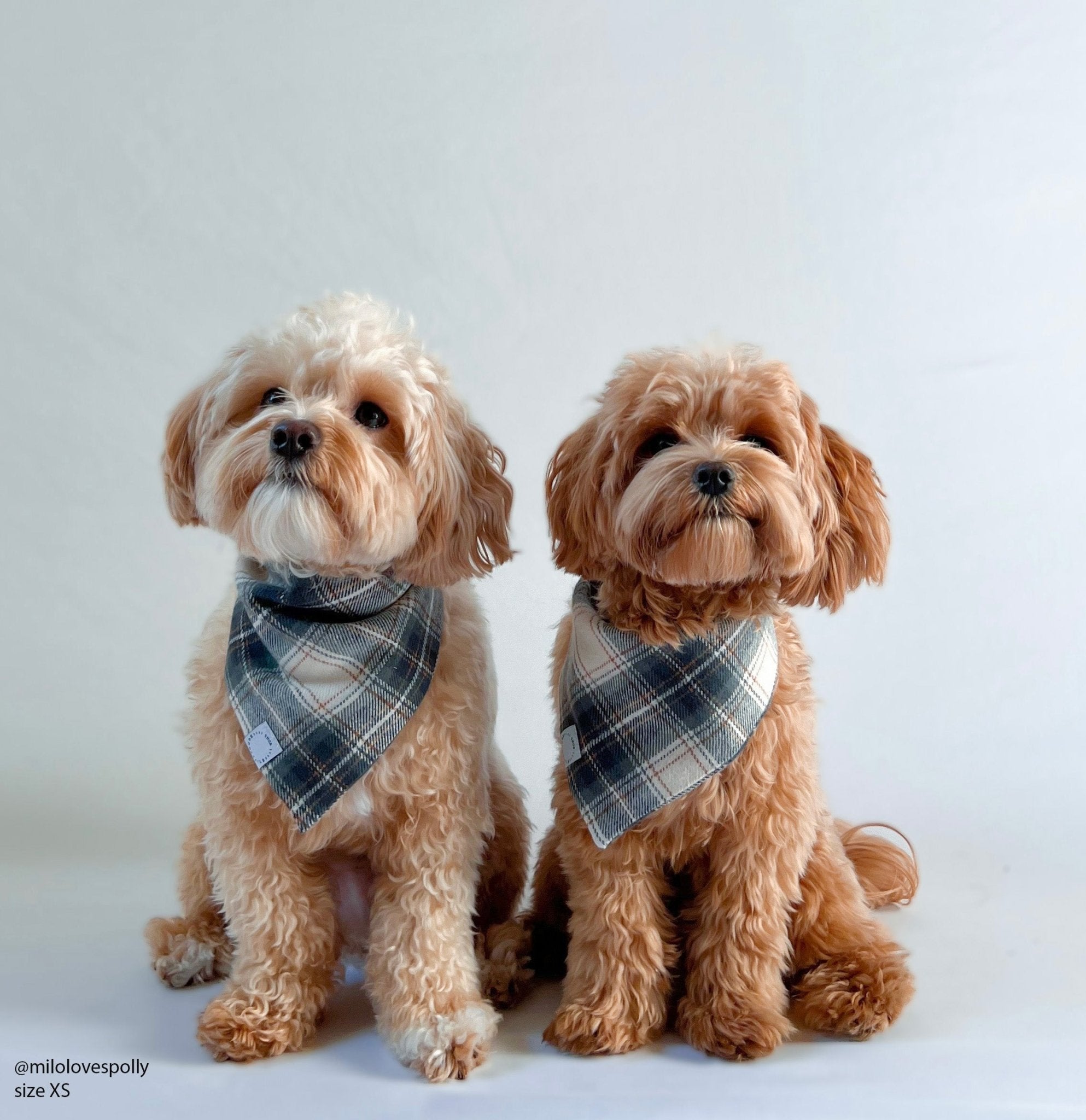 Woodland Plaid Flannel Dog Bandana - SUNNY TAILS