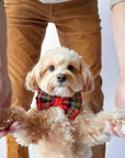 Christmas Flannel Dog Bow Tie | Snap Over Collar Bow Tie | Shop Sunny Tails