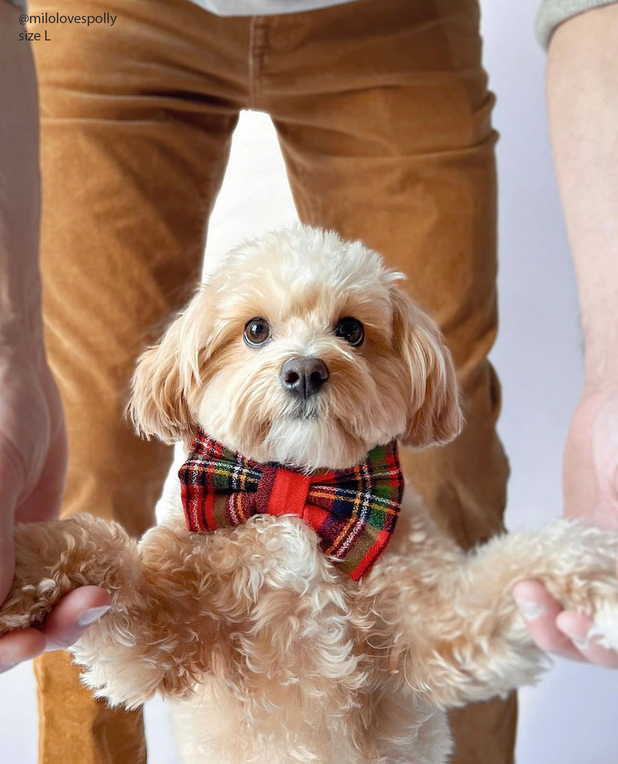 Christmas Flannel Dog Bow Tie | Snap Over Collar Bow Tie | Shop Sunny Tails