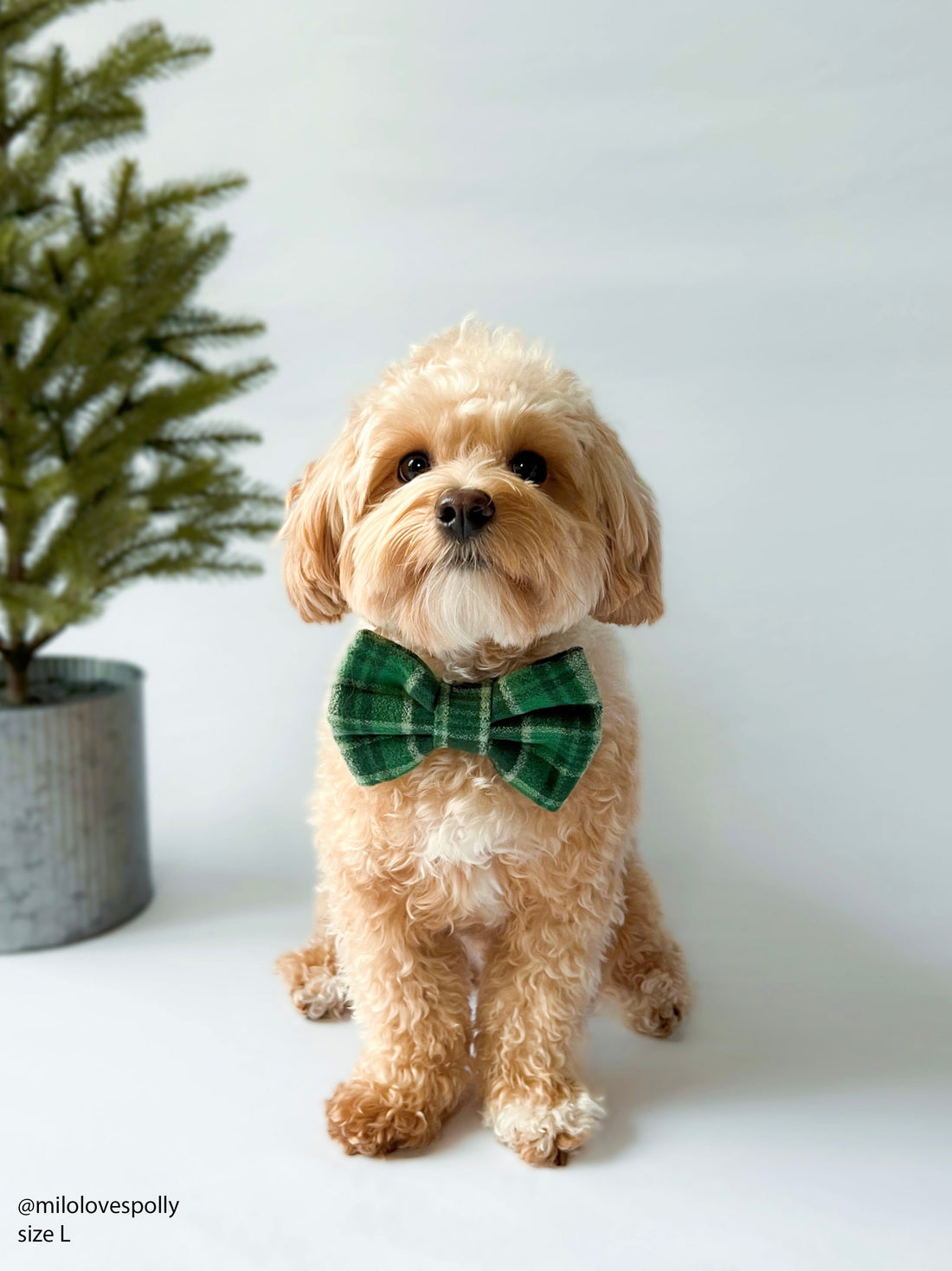 Forest Plaid Flannel Dog Bow Tie