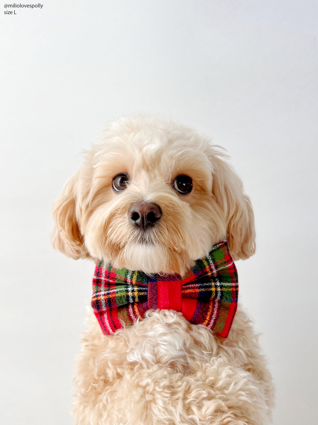 Christmas Flannel Dog Bow Tie