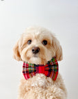 Christmas Flannel Dog Bow Tie