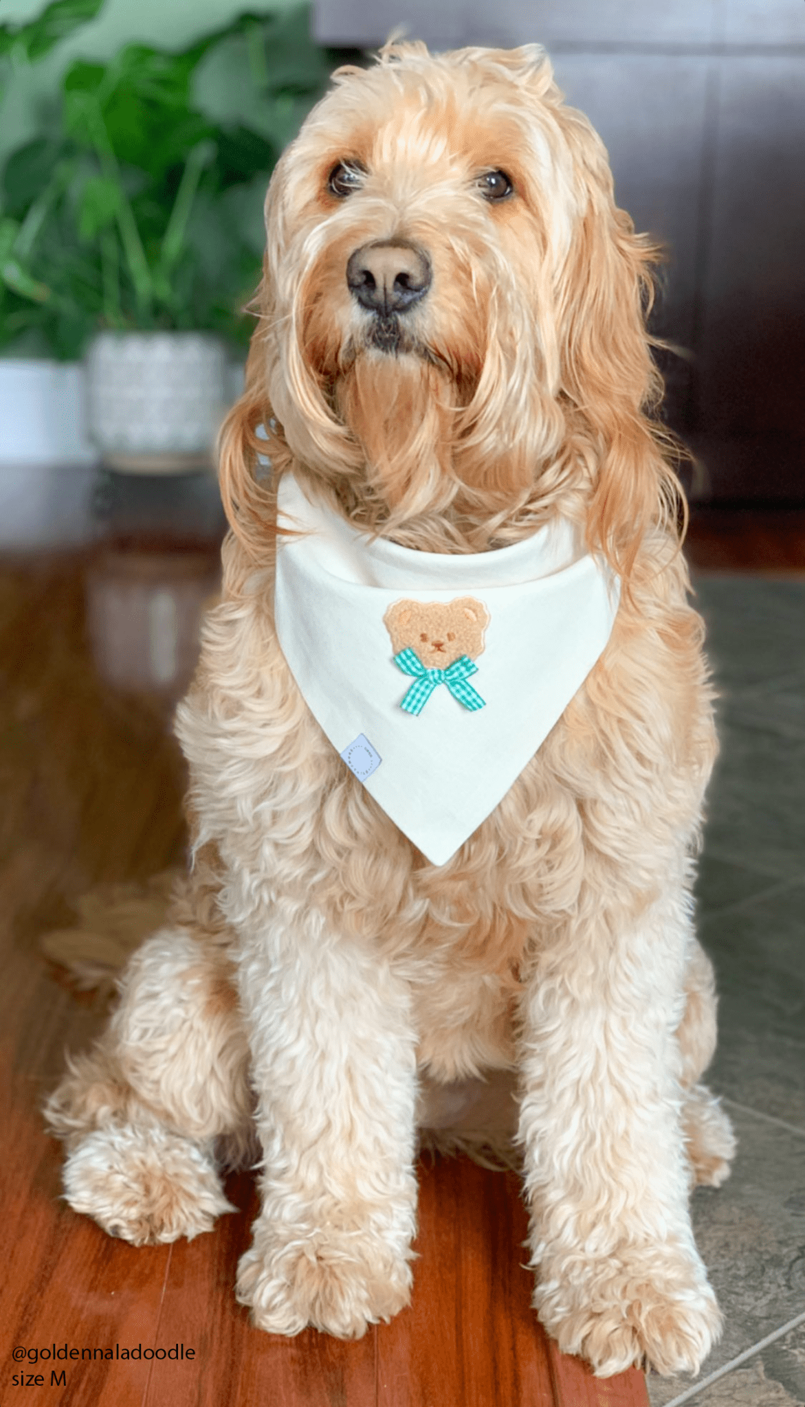 Picnic Teddy Ivory Linen Dog Bandana (Customizable) - SUNNY TAILS