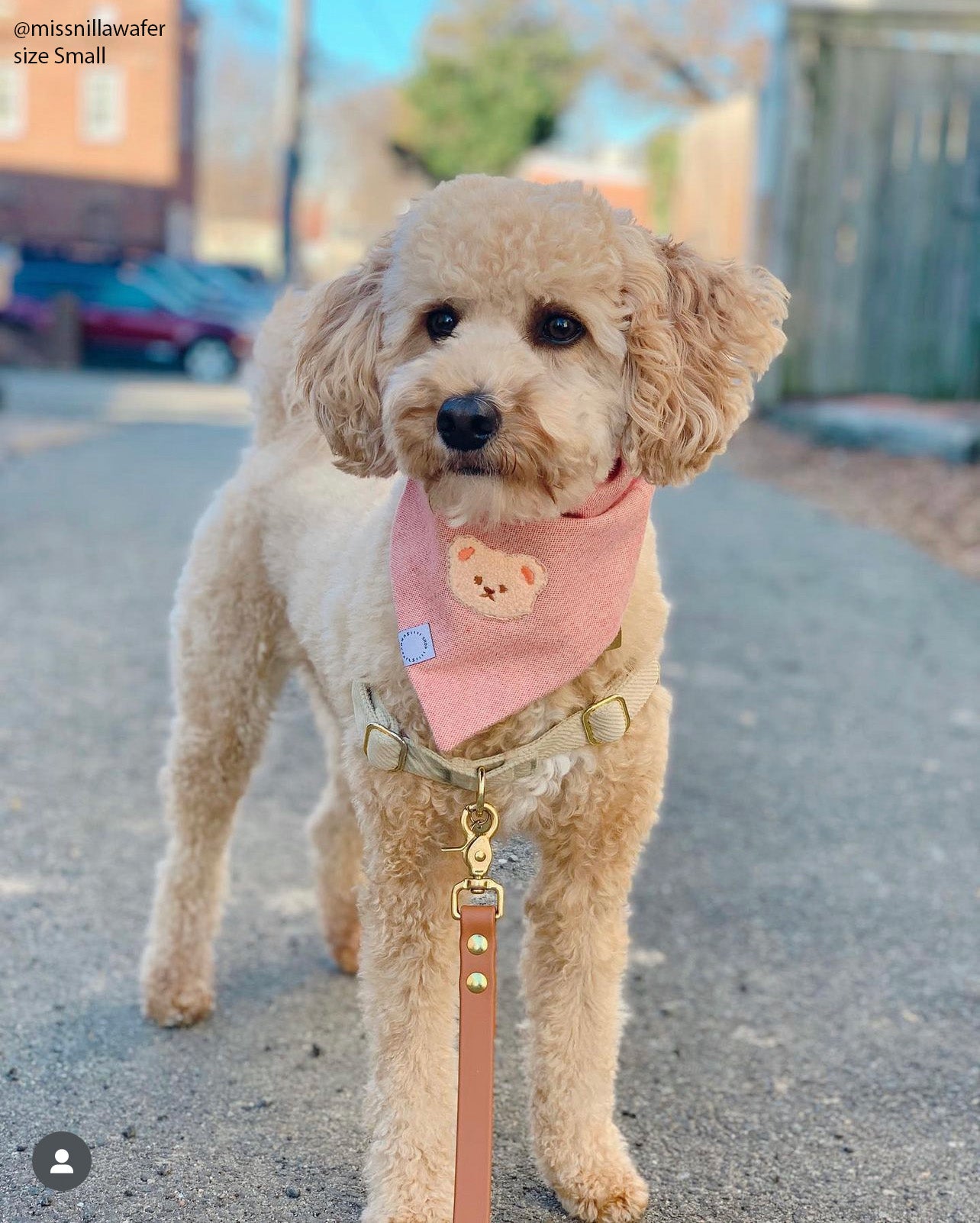 Pink Herringbone Flannel Teddy Bandana - SUNNY TAILS