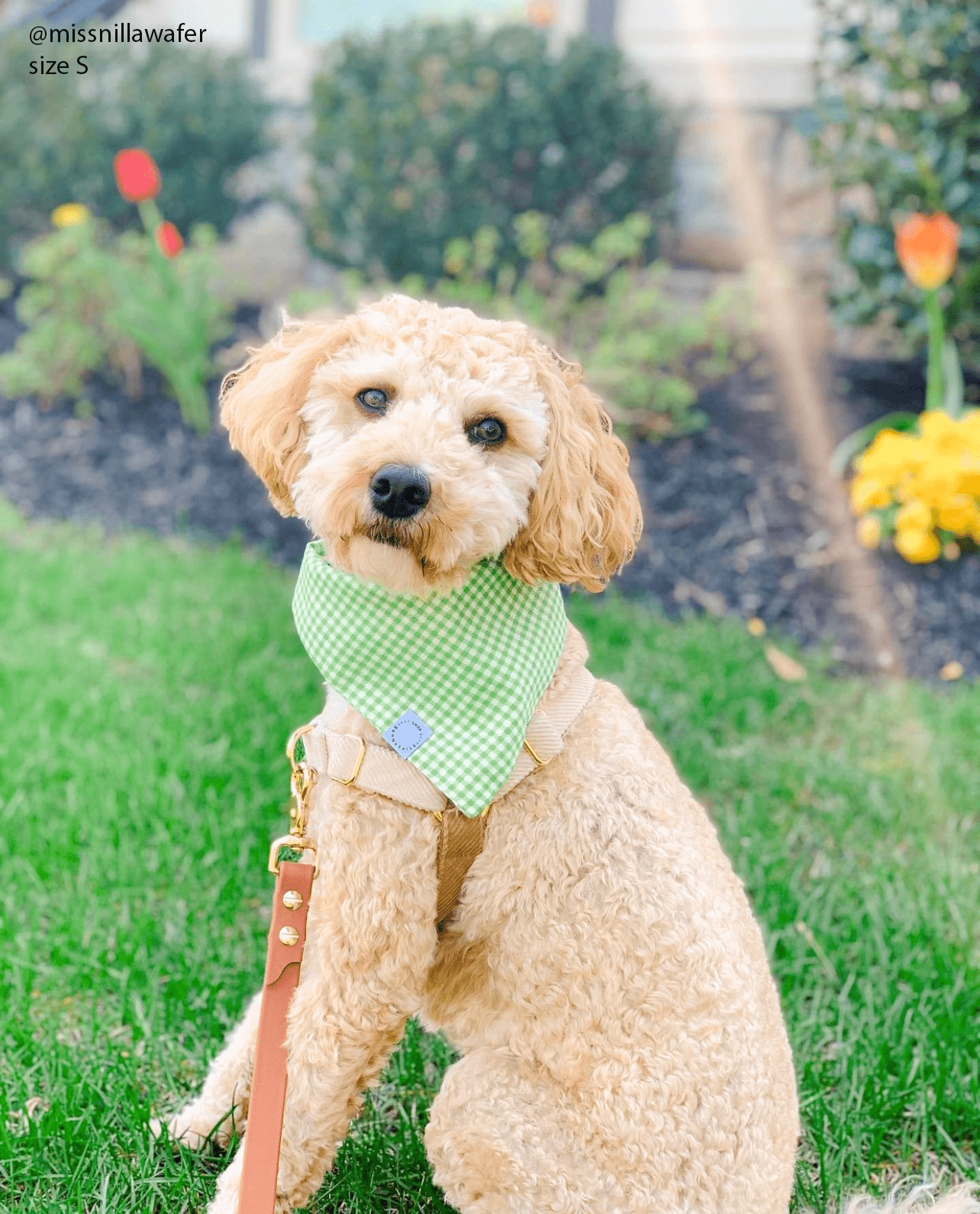 Father's Day Bundle Green Favorites - SUNNY TAILS