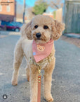 Pink Herringbone Flannel Teddy Bandana - SUNNY TAILS