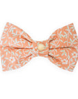 Sunkissed Daisies Floral Dog Bow Tie | Snap Over Collar Bow Tie | Shop Sunny Tails