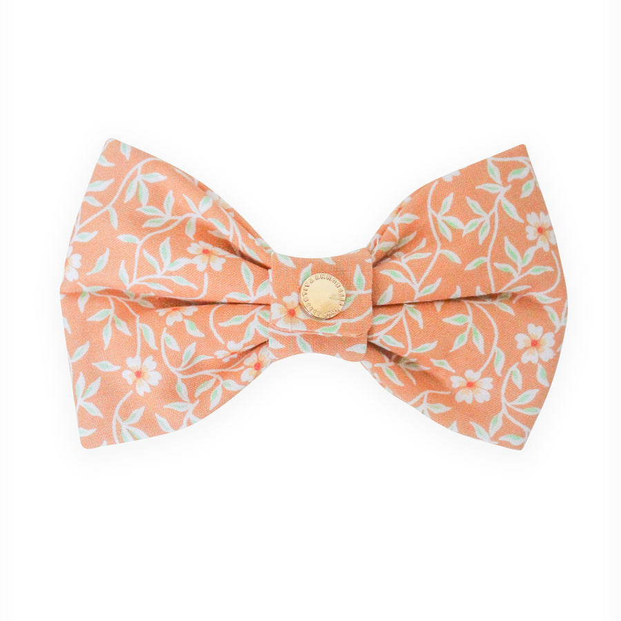 Sunkissed Daisies Floral Dog Bow Tie | Snap Over Collar Bow Tie | Shop Sunny Tails