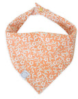 Sunkissed Daisies Dog Bandana - SUNNY TAILS