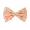 Sunkissed Daisies Floral Dog Bow Tie | Snap Over Collar Bow Tie | Shop Sunny Tails
