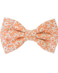 Sunkissed Daisies Floral Dog Bow Tie | Snap Over Collar Bow Tie | Shop Sunny Tails