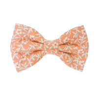 Sunkissed Daisies Floral Dog Bow Tie | Snap Over Collar Bow Tie | Shop Sunny Tails