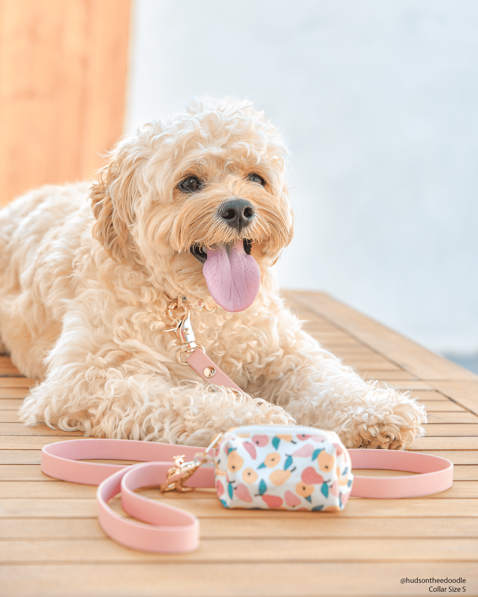Peach Waterproof Cloud Dog Leash - SUNNY TAILS