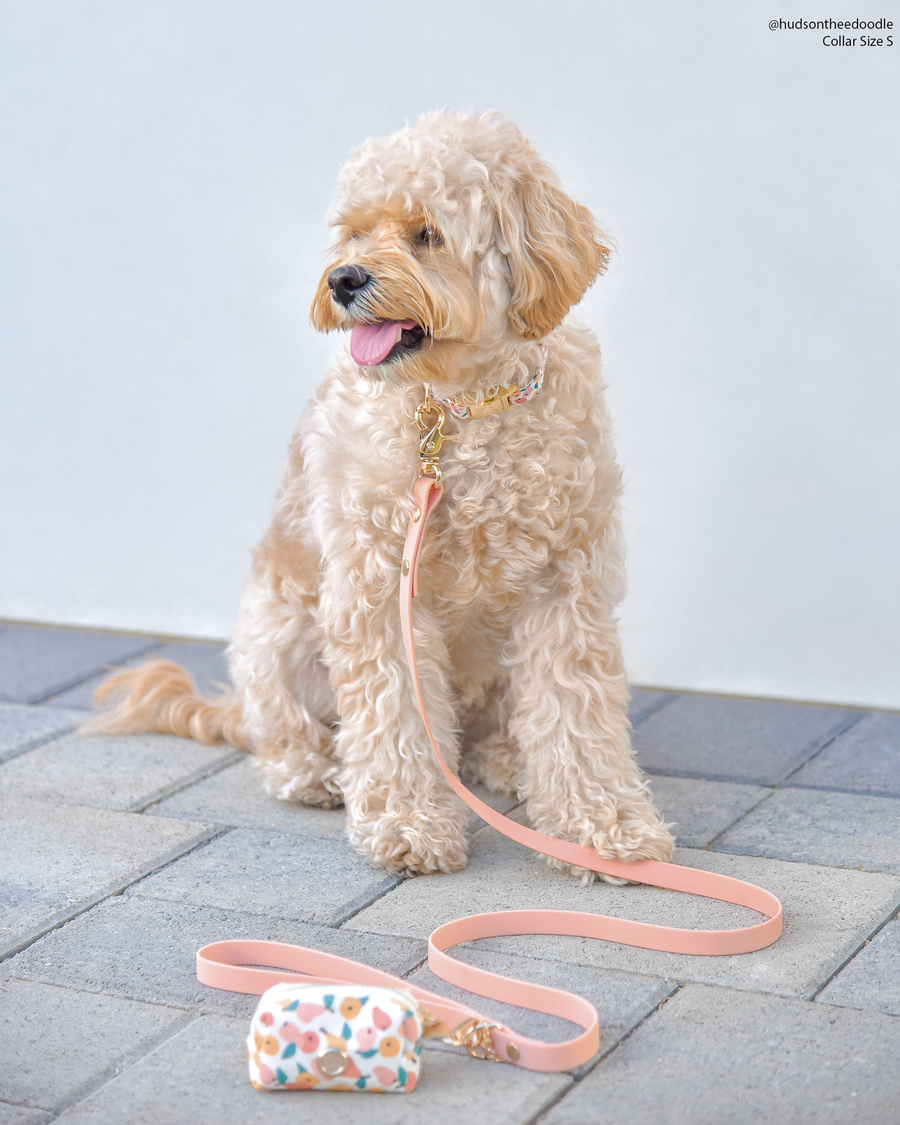 Peaches & Pears Dog Collar | Fruit Dog Collar | Available in 3 Sizes | Durable Dog Collars