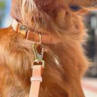 Chai Brown 4-in-1 Wide Convertible Hands Free Cloud Dog Leash 3/4"