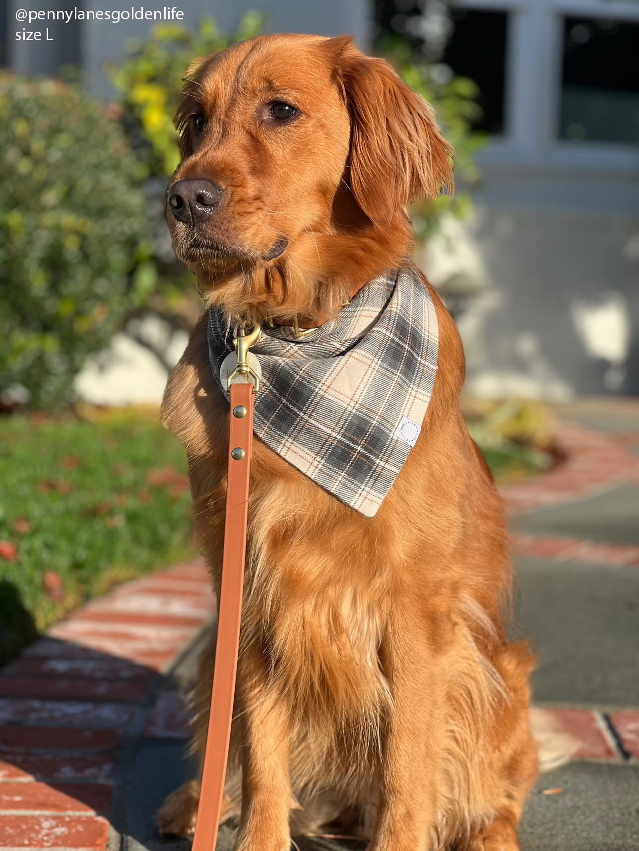 Woodland Plaid Flannel Dog Bandana - SUNNY TAILS